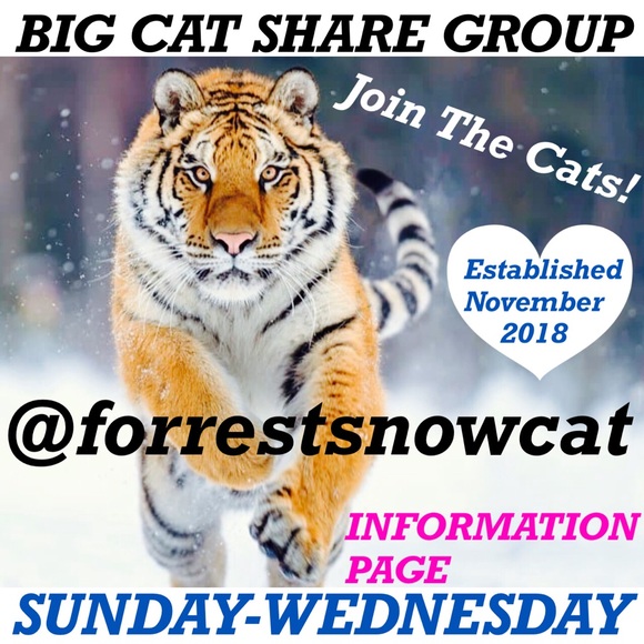 BIG CAT SHARE GROUP INFORMATION - Picture 1 of 6